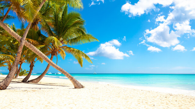 Vacation summer holidays background wallpaper - sunny tropical Caribbean paradise beach with white sand in Seychelles Praslin island Thailand style with palms © Vasily Makarov