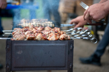 Grilled meat on skewers in an iron grill.