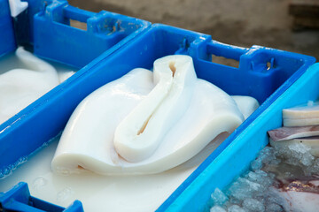 Fish stalls selling squid and cuttlefish at Sant Camilo food market in Arequipa, Peru.