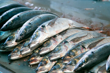 Fish stalls at Sant Camilo food market in Arequipa, Peru.