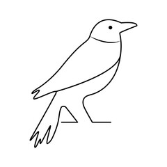 Bird single line art vector design and line art vector drawing
