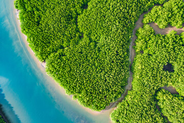 Forest lake landscape. Aerial view. View on the turquoise color lake between mountain forest. Over beautiful turquoise mountain lake and green forest. National park. Green mangrove trees at Phang Nga.