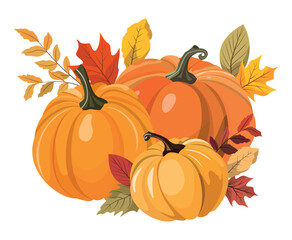 Colorful autumn pumpkins and forest leaves clipart. Vector illustration Isolated on white background. Seasonal harvest design for greeting or poster.