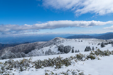 雪に覆われた山　長野県