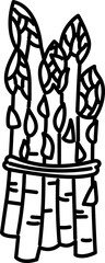 asparagus vegetable