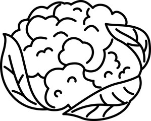 cauliflower vegetable