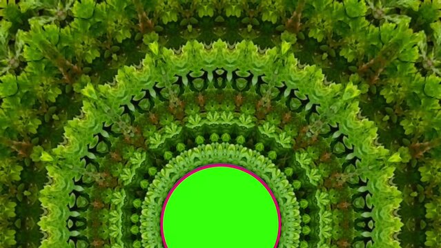 Abstract greenery background, heart shaped green leaves with kaleidoscope effect