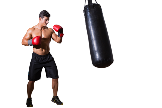 Digital png photo of caucasian male boxer punching punching bag on transparent background - Powered by Adobe