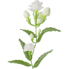 Jasmine Flower 3d Illustration