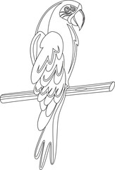 Bird Animal Character Vector Graphic