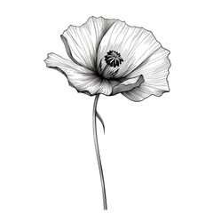 red Poppy flower ai generated