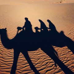 Shadow Of People Riding camels In The Desert