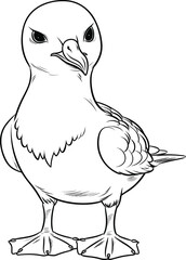 Albatross coloring pages vector animals