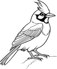 Blue Jay coloring pages vector animals