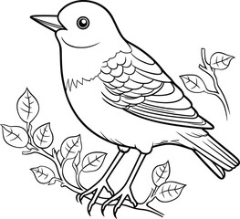 Blackbird coloring pages vector animals