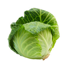 Fototapeta premium Green Cabbage On Transparent Background Ai Generated