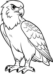 Falcon coloring pages vector animals