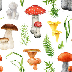 Forest mushrooms with greens seamless pattern. Watercolor illustration. Hand painted king bolete, fly agaric, chanterelle with fern and green grass seamless pattern. White background