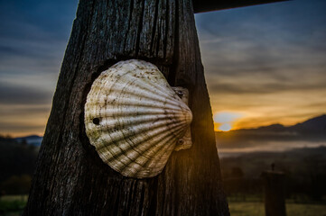 A symbolic scallop shell nailed to a wooden stake in a peaceful Asturian meadow, marking the pilgrim's way to Santiago at dawn. - obrazy, fototapety, plakaty