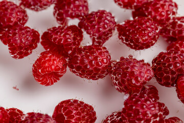 Ripe raspberries in a bowl with water