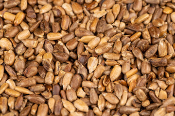 heavily fried sunflower seeds close up