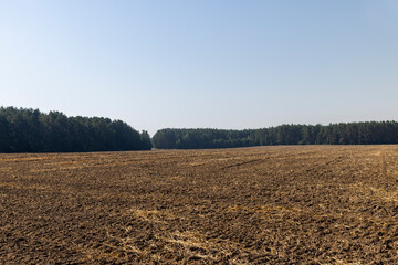 A plowed field with fertile soil for agricultural activities