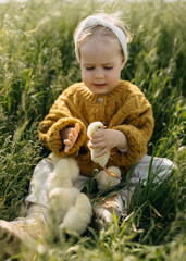 Child playing with chicks in a field sitting on green grass.