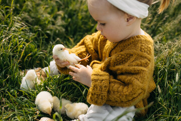 Little girl playing with chicks sitting in a field, holding a little chick in hand, looking at it.