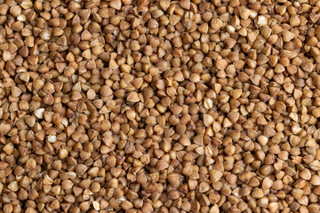 A large amount of harvested buckwheat