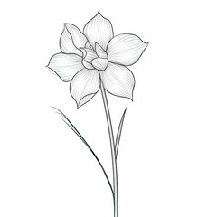 Obraz premium flat Daffodil flower ai generated