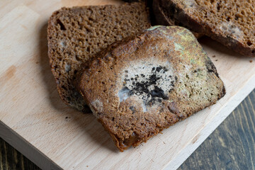 Black rye bread covered with black mold