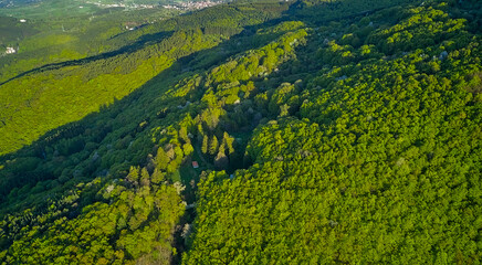 Houses distant far from each other in a dense forest in the mountains in spring, among wild nature. Top view from a drone