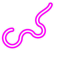 Abstract Doodle Outline