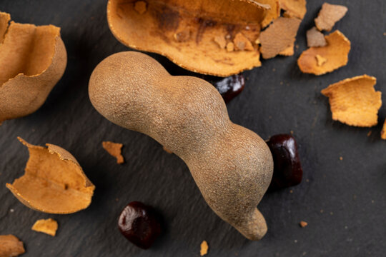long ripe tamarind pods close up