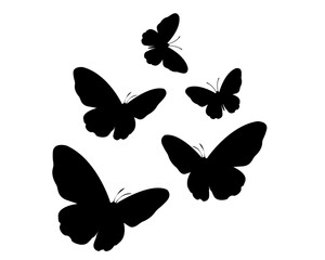 set of butterflies isolated