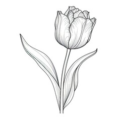 bouquet blooming tulip ai generated