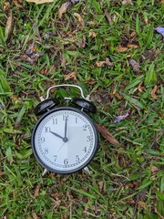clock in grass