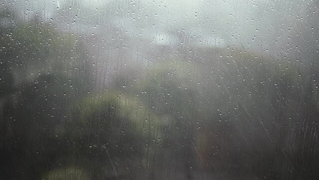 Rain falling on a window, loops.
Frame full of rain falling on a window with a blurred background of trees.