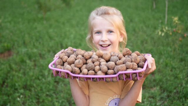 A child shows a large crop of walnuts