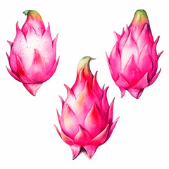 dragon fruit set watercolor on a white background created with Generative Ai