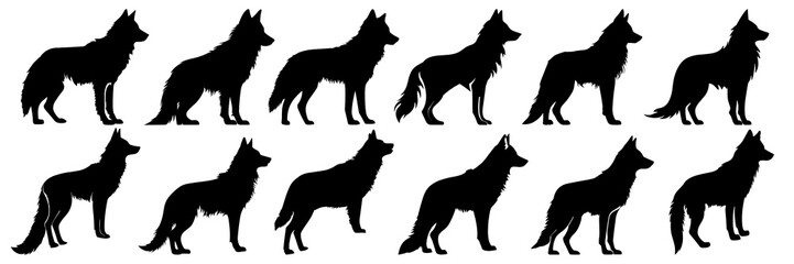 Wolf silhouettes set, large pack of vector silhouette design, isolated white background. © FutureFFX