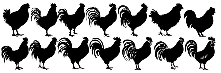 Chicken silhouettes set, large pack of vector silhouette design, isolated white background