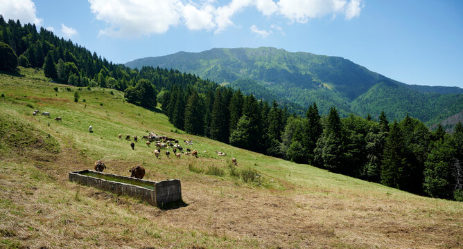 val palot