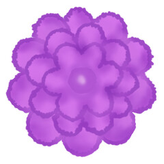 flower nature cartoon