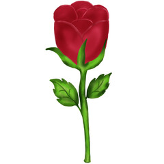 Obraz premium flower nature cartoon