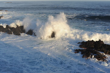 strong waves breaking and crushing on the volcanic rocks on the Atlantic Ocean on coastline and seashore of Madeira Island, Portugal, Europe