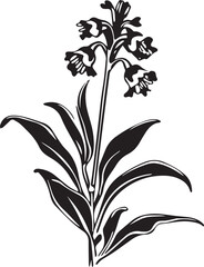 Penstemon Black And White, Vector Template Set for Cutting and Printing
