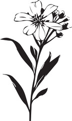 Phlox Black And White, Vector Template Set for Cutting and Printing
