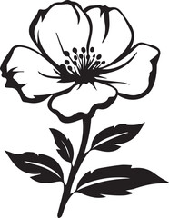 Rockrose Black And White, Vector Template Set for Cutting and Printing