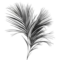 coconut date palm leaves ai generated